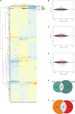 Identification of Altered Developmental Pathways in Human Juvenile HD iPSC With 71Q and 109Q Using Transcriptome Profiling